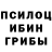 Галлюциногенные грибы мицелий T.A.C