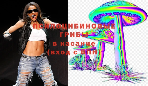 mdpv Осташков