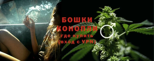spice Осинники