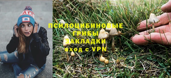 первитин Янаул