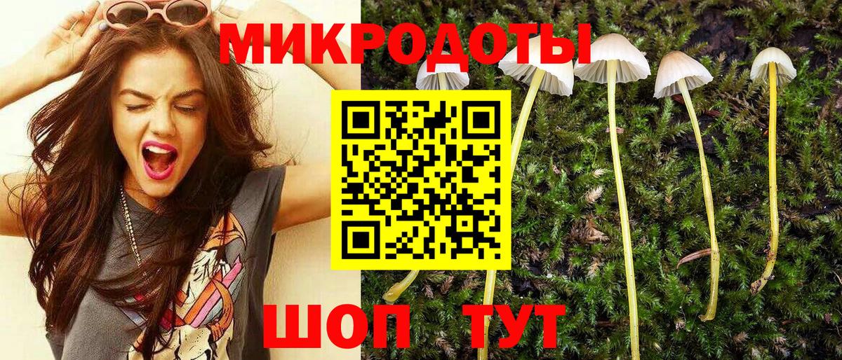 Псилоцибиновые грибы мицелий  Белебей  Галлюциногенные грибы Psilocybe 